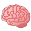 brain Icon